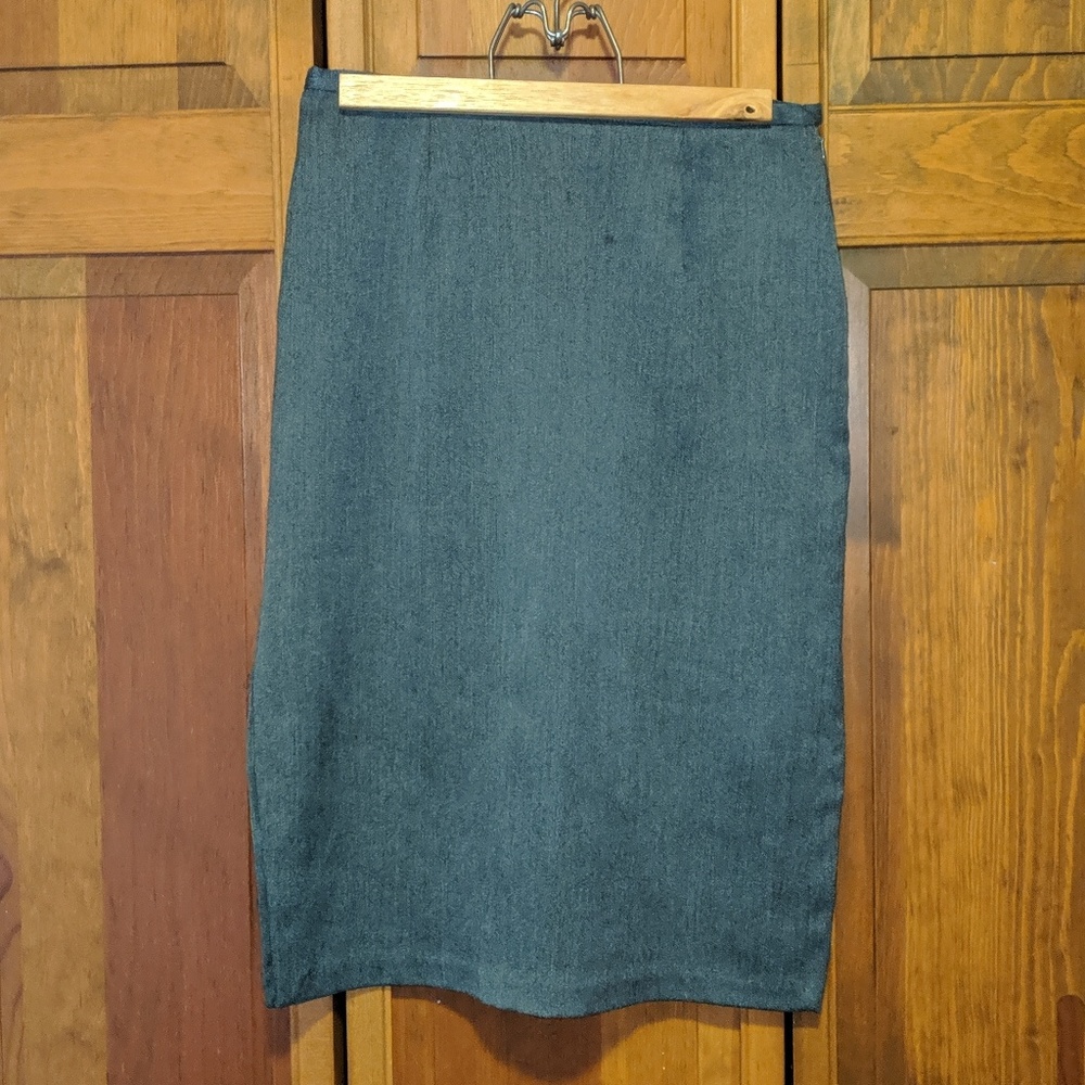 Express Pencil Skirt